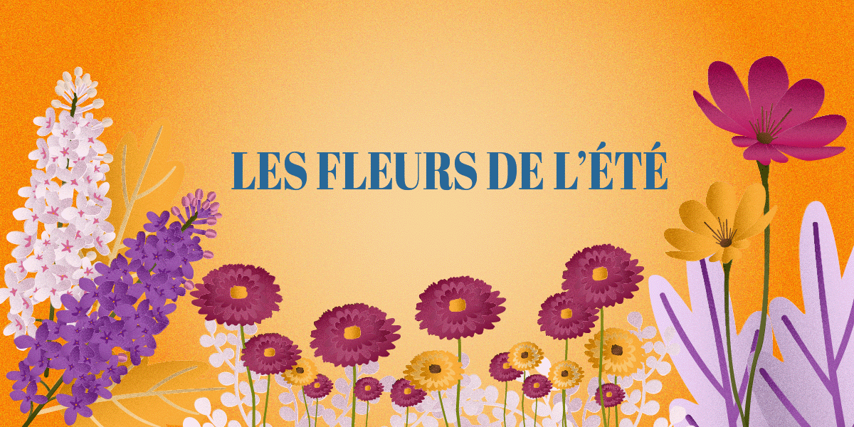 bannière fleurs d'été