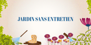 illustration jardin sans entretien