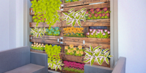 illustration jardin vertical