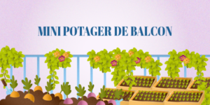 illustration potager balcon