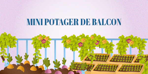 illustration potager balcon