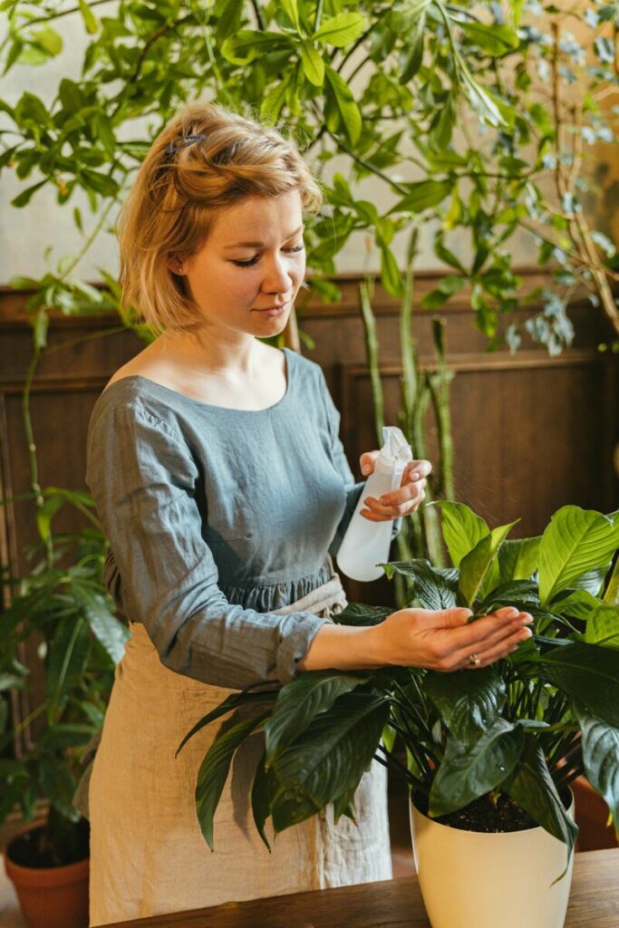 photo arroser une plante
