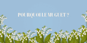 illustration muguet